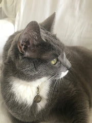 Copy of Spiritual Pet Protection Collar Tag Amulet Charm